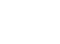 PPI logo